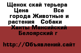 Щенок скай терьера › Цена ­ 20 000 - Все города Животные и растения » Собаки   . Ханты-Мансийский,Белоярский г.